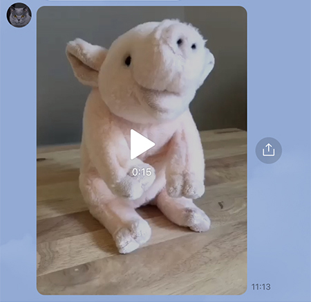 LINE アルバムに動画はNG iphone版