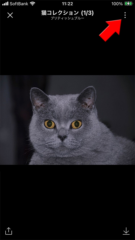 LINE 画像の詳細からメニューを選ぶ iphone版