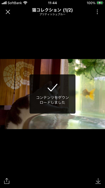 LINE アルバムの画像保存完了 iphone版