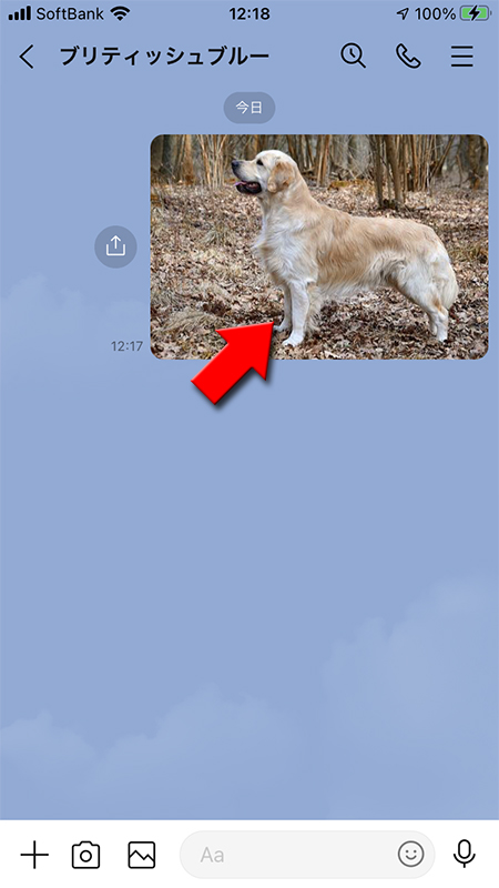 LINE トークルームからアルバムに保存したい画像を長押し iphone版