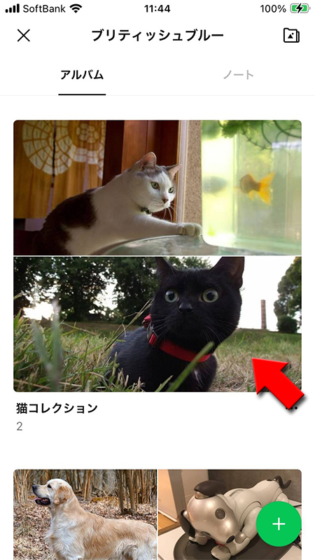 LINE 保存したい画像があるアルバムを選択 iphone版