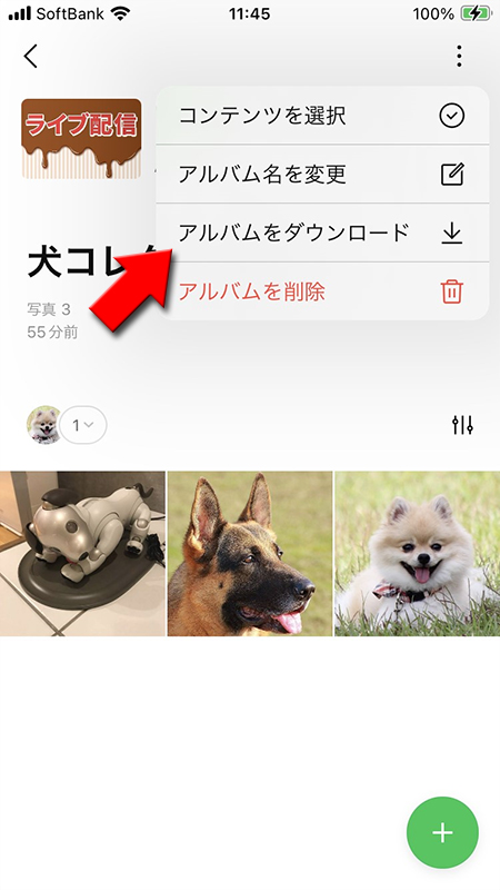 LINE アルバムをダウンロードを選択 iphone版