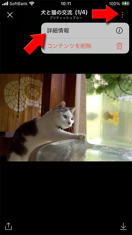 LINE アルバム 写真の情報を選択 iphone版