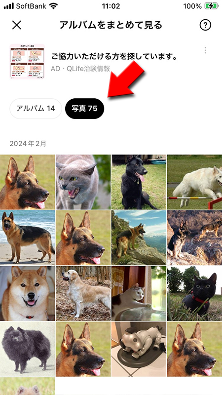 LINE アルバムに投稿した写真一覧 iphone版