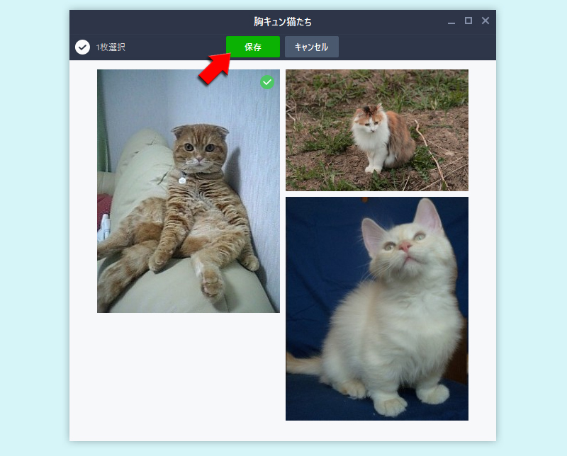 LINE アルバムからダウンロードを選択 PC版