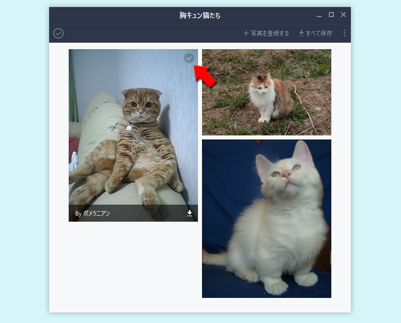 LINE アルバムから保存したい画像をチェックする PC版