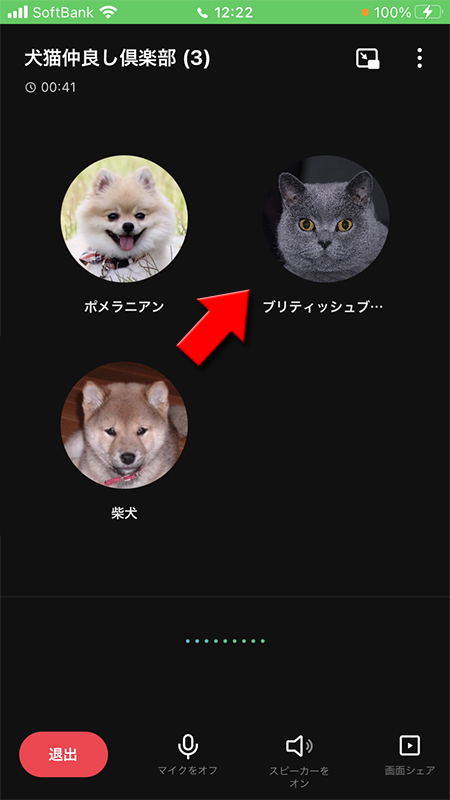 LINE ブロックされてもグループ通話は可能 iphone版