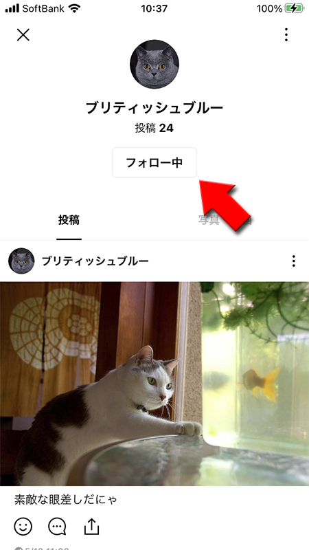 LINE VOOMの投稿は友だちのブロックと関係ない iphone版