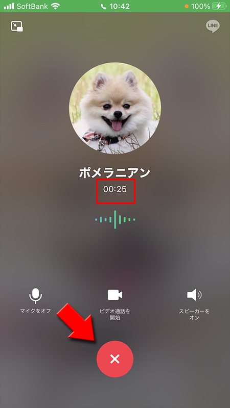 LINE 応答して通話中画面 iphone版
