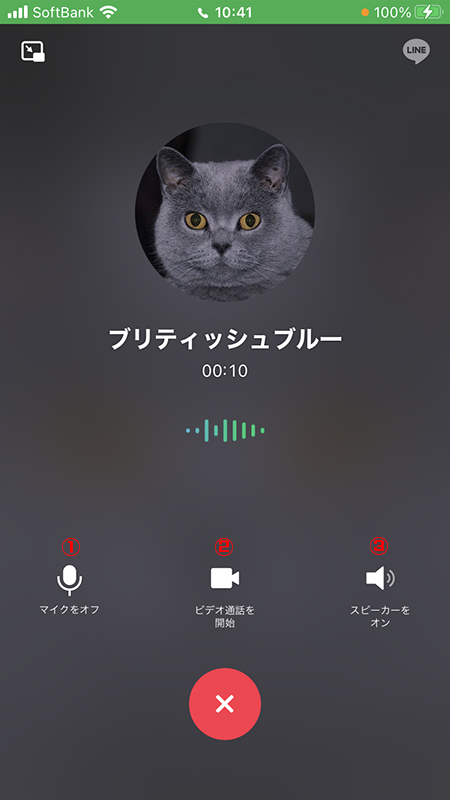 LINE 通話画面説明 iphone版
