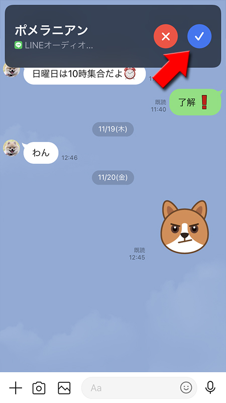 LINE 操作中の通話着信中画面 iphone版