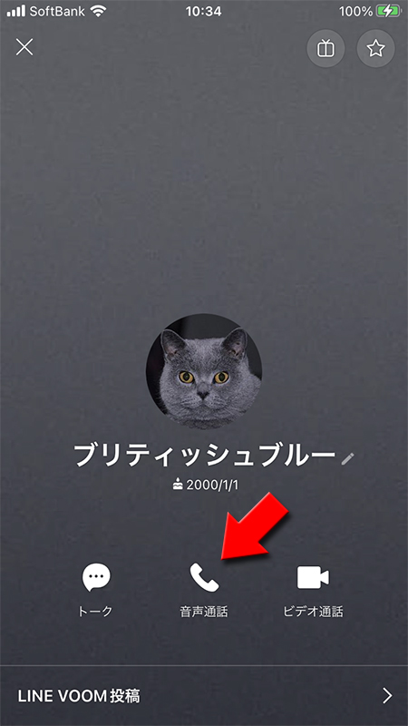 LINE プロフィールから音声通話を選択 iphone版