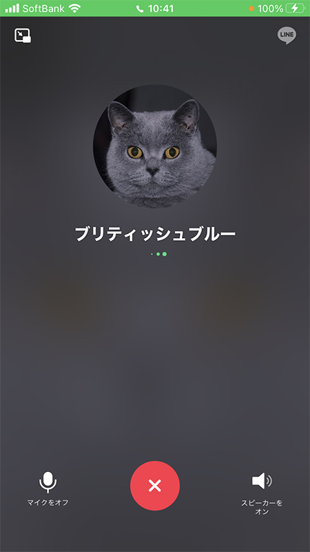 LINE 通話呼び出し画面 iphone版