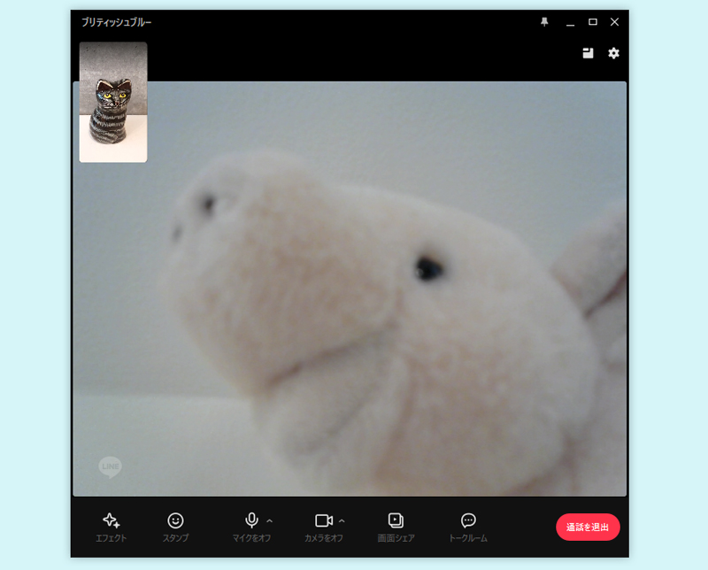 LINE ビデオ通話画面のフォーカスビュー PC版