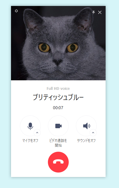 LINE 無料通話中画面 PC版