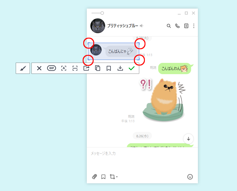 LINE キャプチャ範囲の修正 PC版