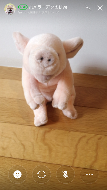 LINE チャットライブ配信者の拡大画面 iphone版