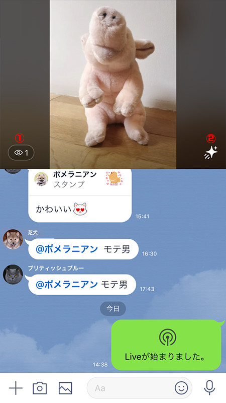 LINE チャットライブ配信者のノーマル画面 iphone版
