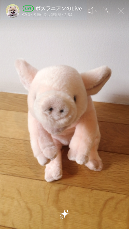 LINE チャットライブ画面 iphone版