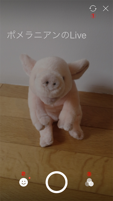 LINE Live配信準備画面説明 iphone版