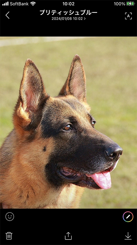 LINE 写真の詳細ページ iphone版