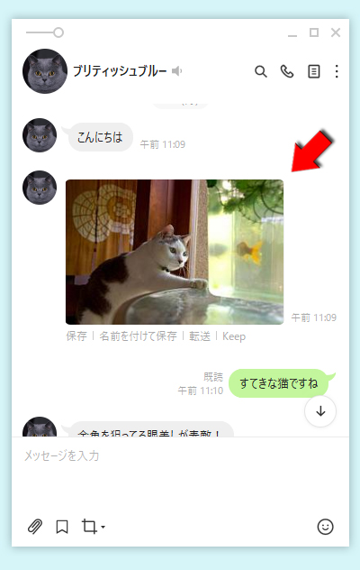 LINE コンテンツの写真/動画一覧 PC版