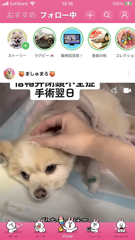 LINE 着せかえ反映VOOM iphone版