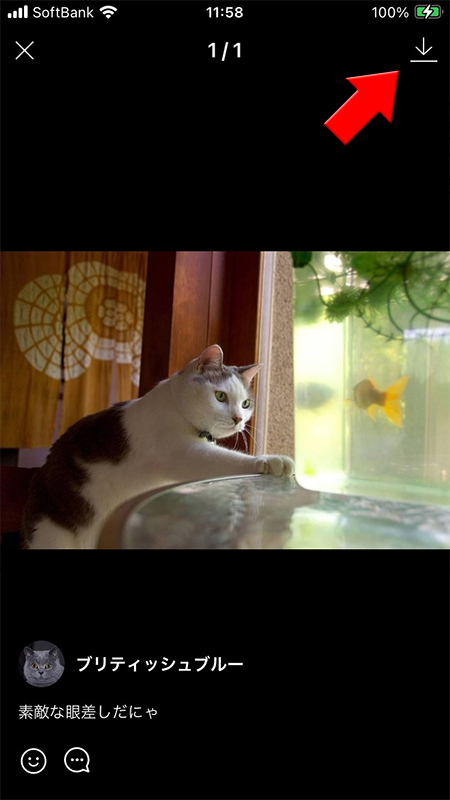 LINE VOOM 投稿の画像の詳細から保存を選択版
