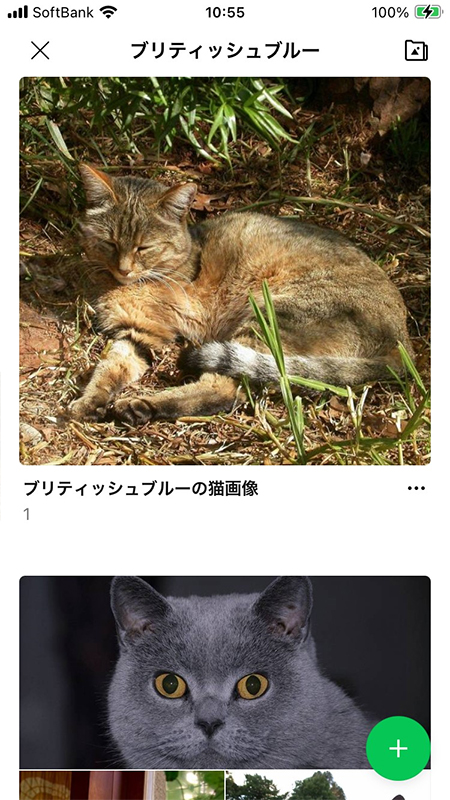 LINE アルバムに画像保存完了 iphone版