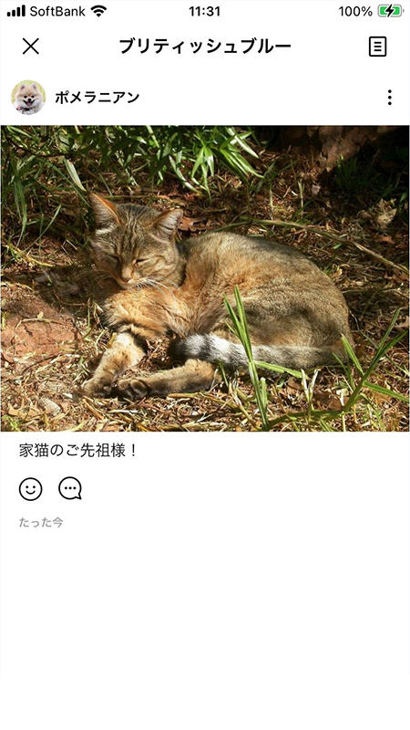 LINE トークの画像がノートに保存されている iphone版