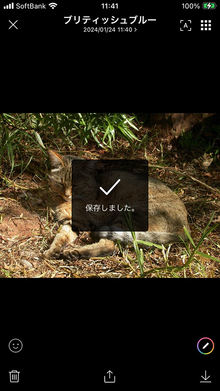 LINE トーク 画像保存を完了 iphone版