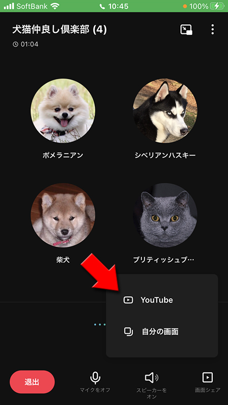 LINE グループ通話 画面シェアからYouTubeを選択 iphone版
