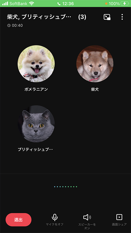 LINE グループ通話複数人トーク iphone版