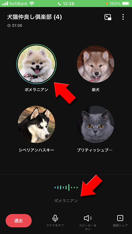 LINE グループ通話発言者表示 iphone版