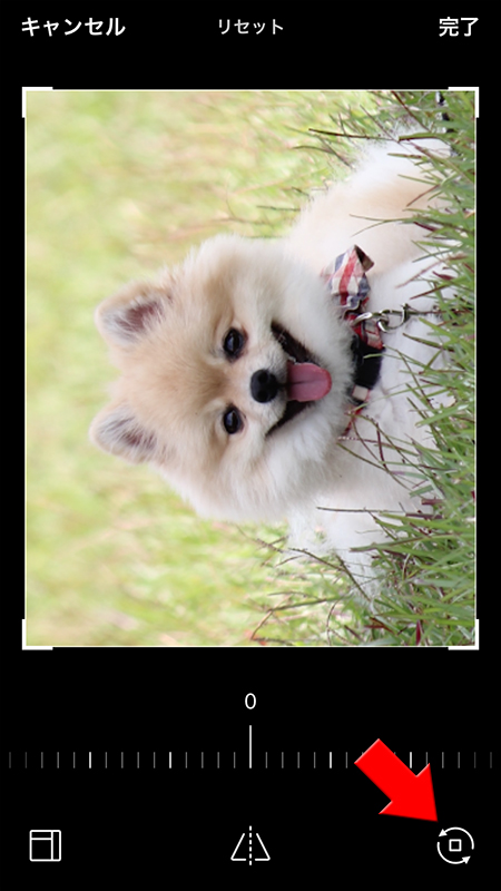 LINE 画像の回転 iphone版