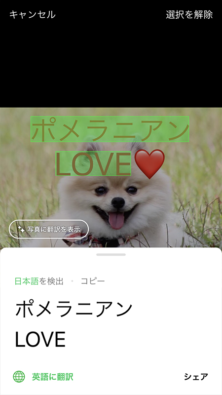 LINE 文字が検出される iphone版