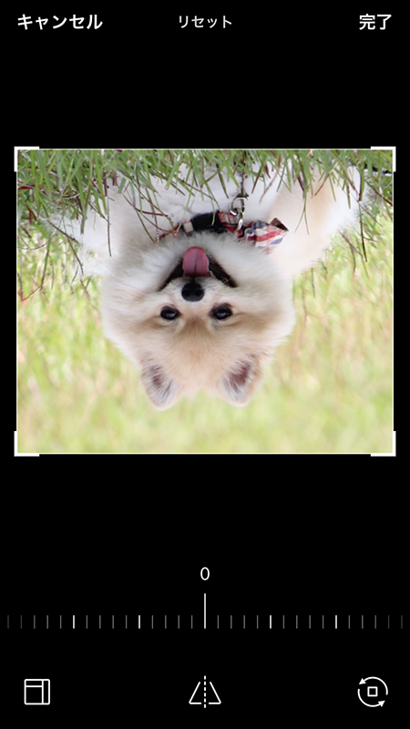 LINE 画像の完了を押す iphone版