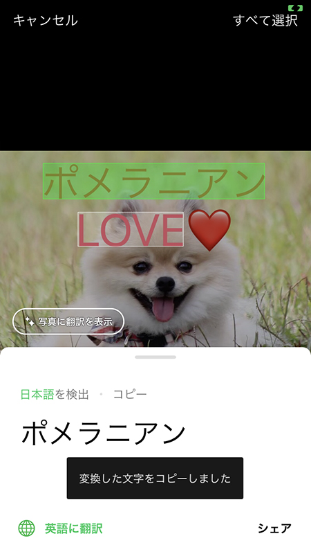 LINE 読み込んだテキストのコピー完了 iphone版