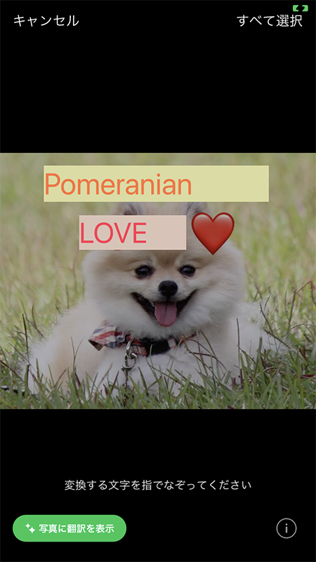 LINE 指定した翻訳の言語が写真に反映する iphone版