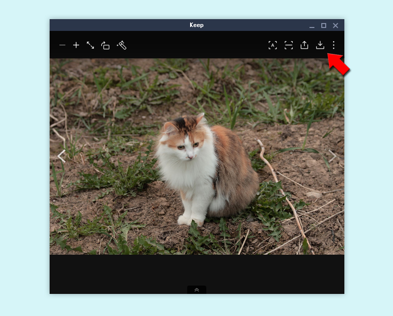 LINE Keepの詳細ページからダウンロードボタンをクリック PC版