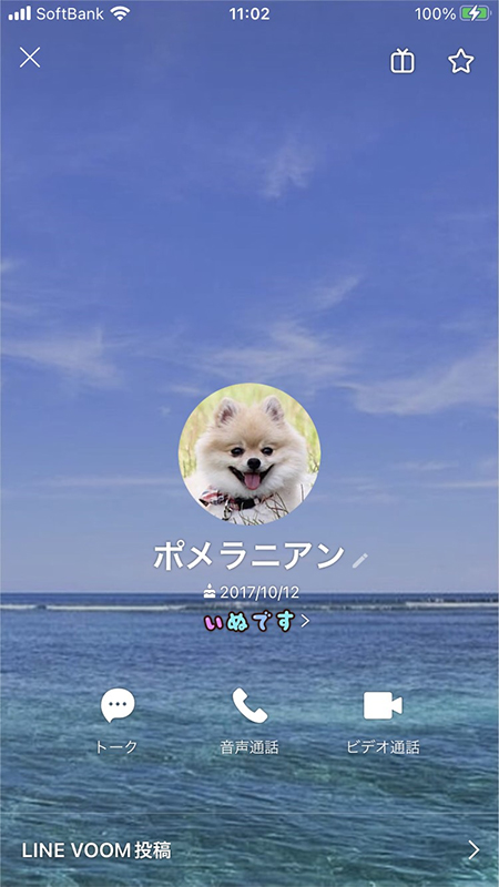 LINE 友だちからみた自分のID確認画面 iphone版