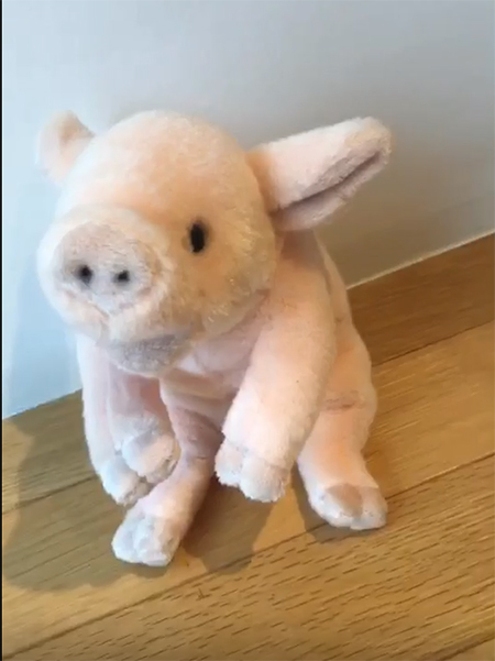 LINE 動画の劣化前 iphone版