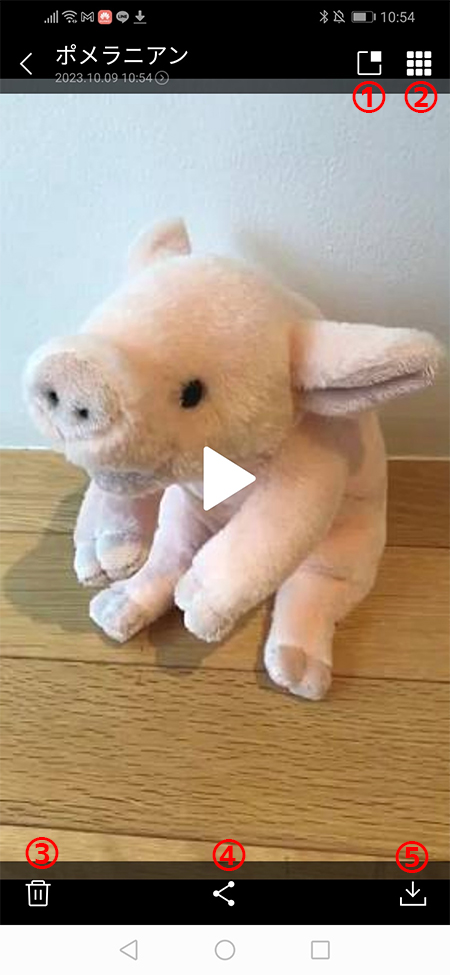 LINE 動画拡大サンプル Android版