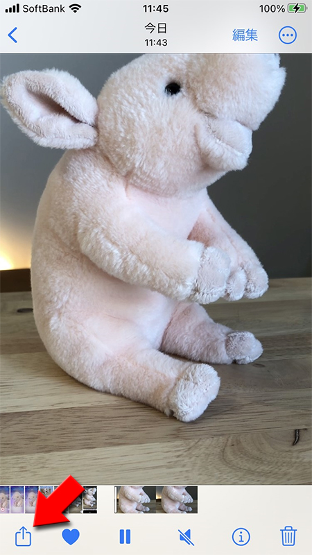 LINE スマホのアルバムから送りたい動画の共有ボタンを押す iphone版