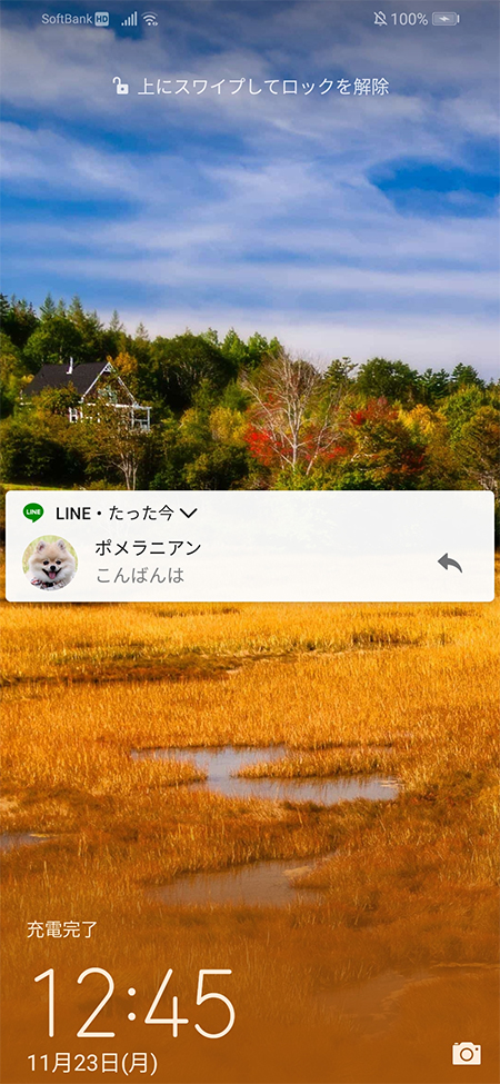 LINE ロック画面通知確認 android版