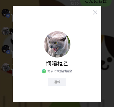 LINE オープンチャットプロフィールからLINEの友だち追加はできない iphone版