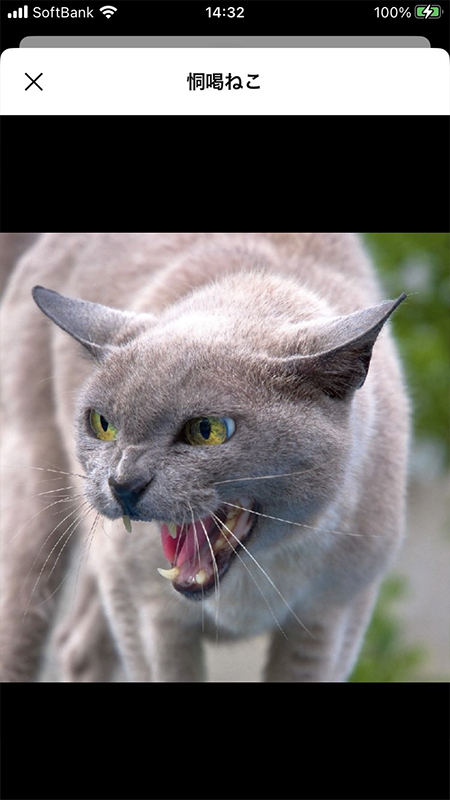 LINE オープンチャット参加メンバーの名前は変えれない iphone版