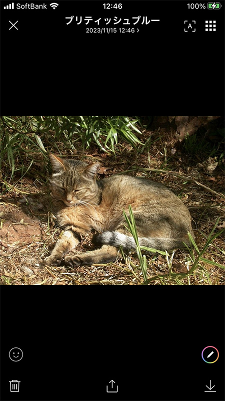 LINE トークで送られてきた画像を表示 iphone版