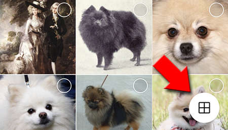 LINE 画像選択一覧ボタン選択 iphone版