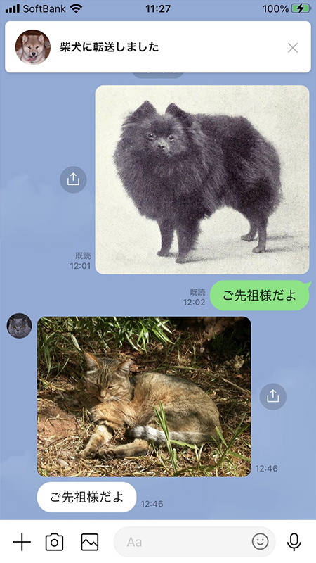 LINE 写真の転送完了 iphone版
